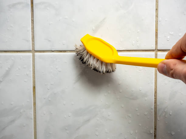 Best Mold Cleaning Services  in Bonadelle Ranchos, CA