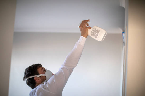 Best Attic Mold Removal  in Bonadelle Ranchos, CA