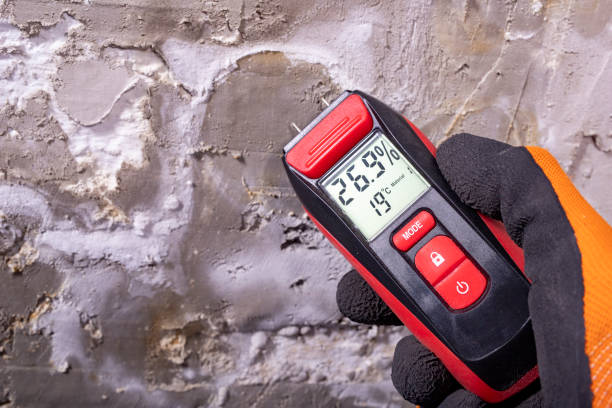 Best Affordable Mold Removal  in Bonadelle Ranchos, CA