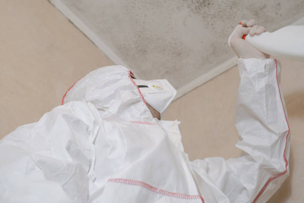 Best Professional Mold Removal  in Bonadelle Ranchos, CA