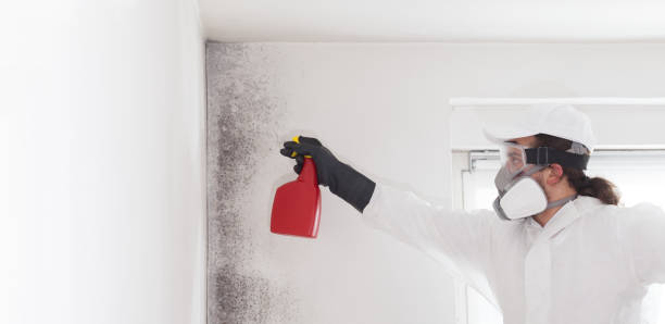 Best Residential Mold Removal  in Bonadelle Ranchos, CA