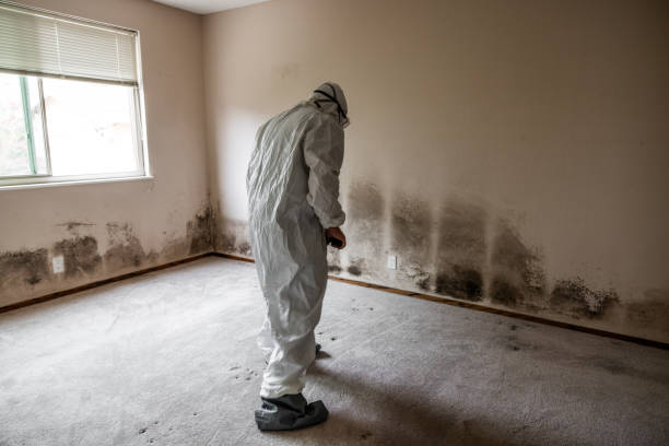 Best Emergency Mold Removal  in Bonadelle Ranchos, CA