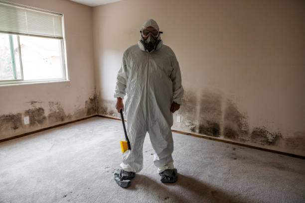 Best Toxic Mold Removal  in Bonadelle Ranchos, CA