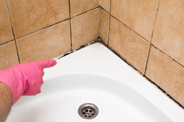 Best Home Mold Removal  in Bonadelle Ranchos, CA